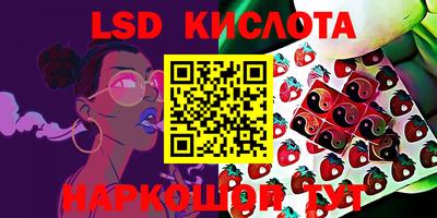 молекула духа Камень-на-Оби