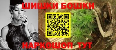 молекула духа Камень-на-Оби