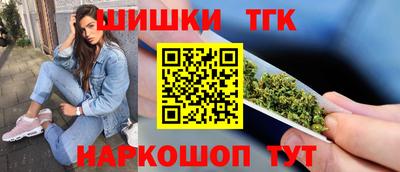молекула духа Камень-на-Оби